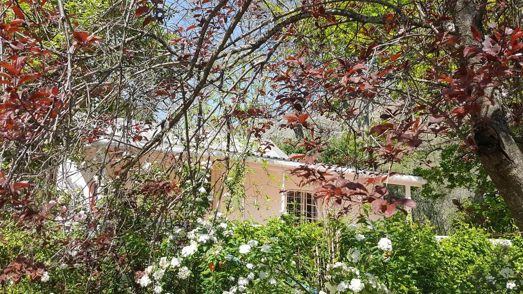 Old Nectar Vila Stellenbosch Exterior foto